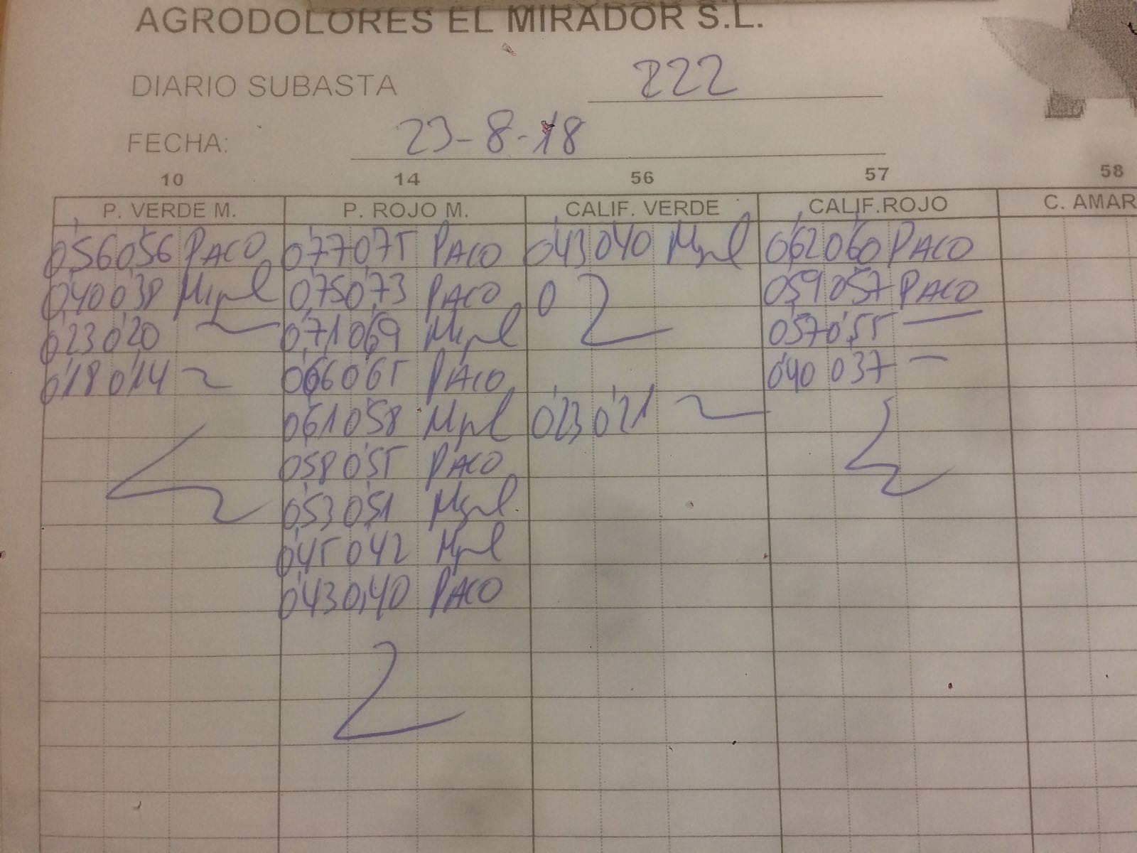 El mirador