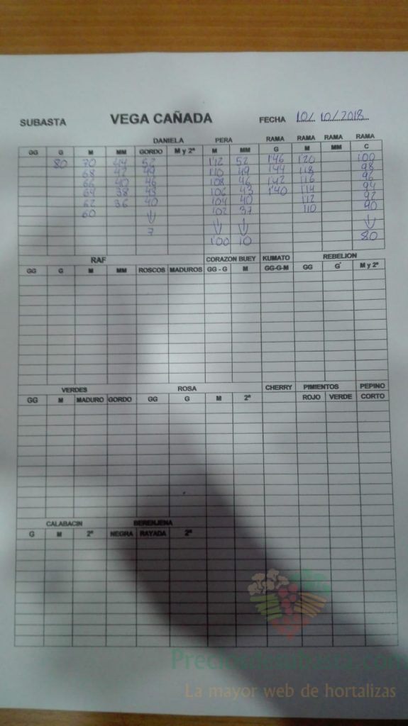 Subasta hortofrutícola VegaCañada 10 de Octubre