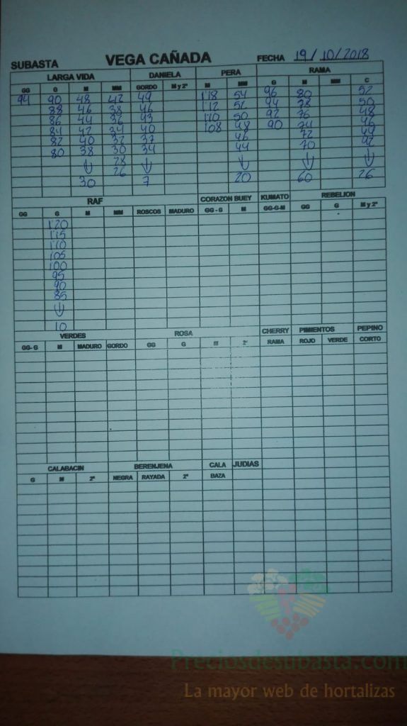 Subasta hortofrutícola VegaCañada 19 de Octubre
