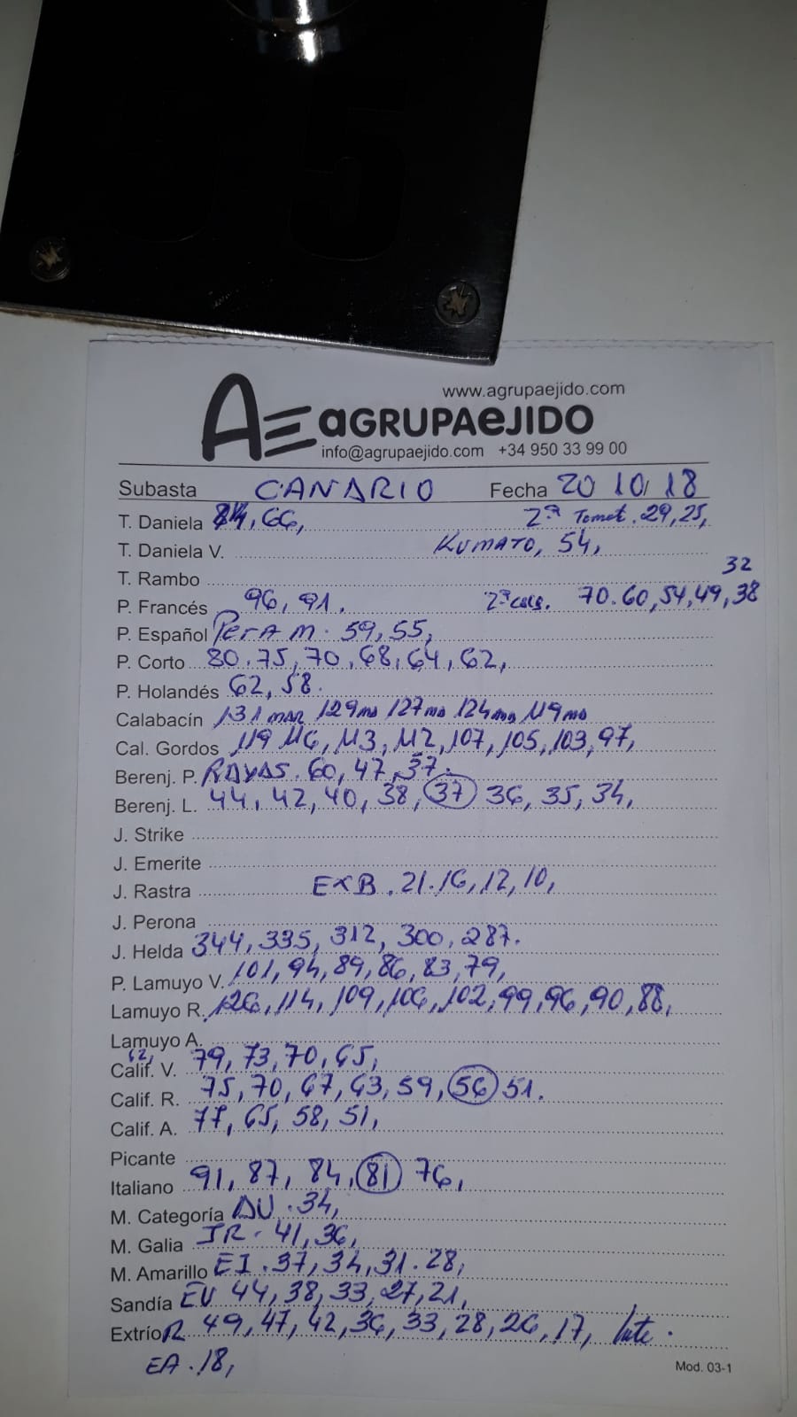 Subasta hortofrutícola AgrupaEjido La Redonda 20 de Octubre