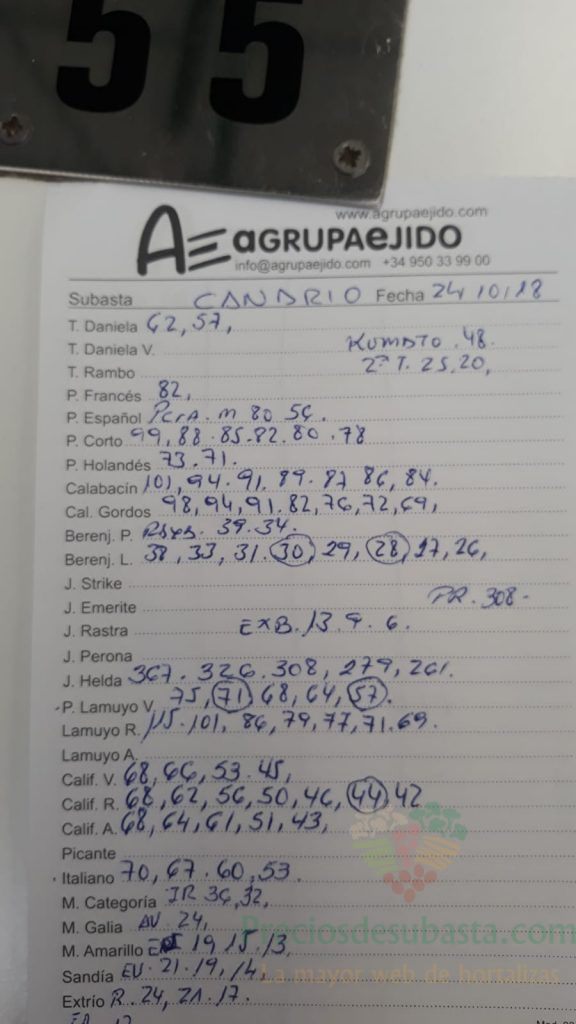 Subasta hortofrutícola AgrupaEjido La Redonda 24 de Octubre