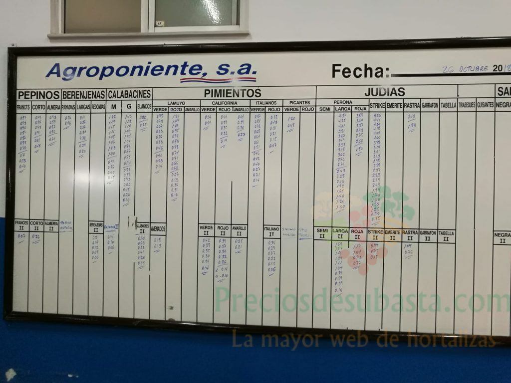 Pizarra Agroponiente La Redonda 26 de Octubre
