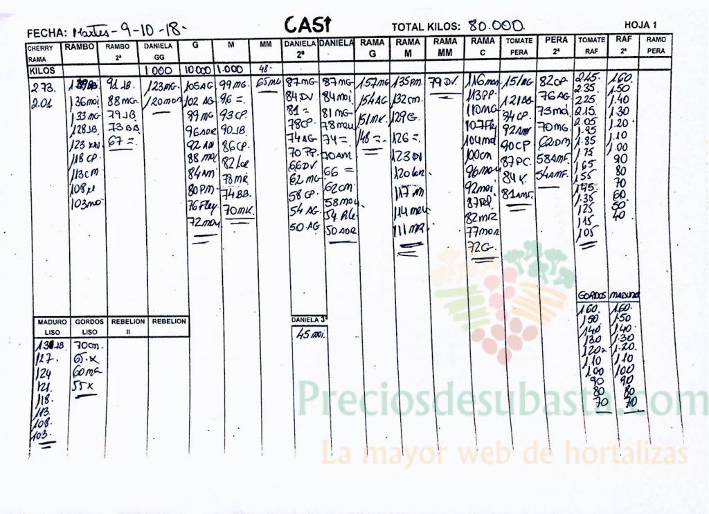 Subasta hortofrutícola CASI 9 de Octubre