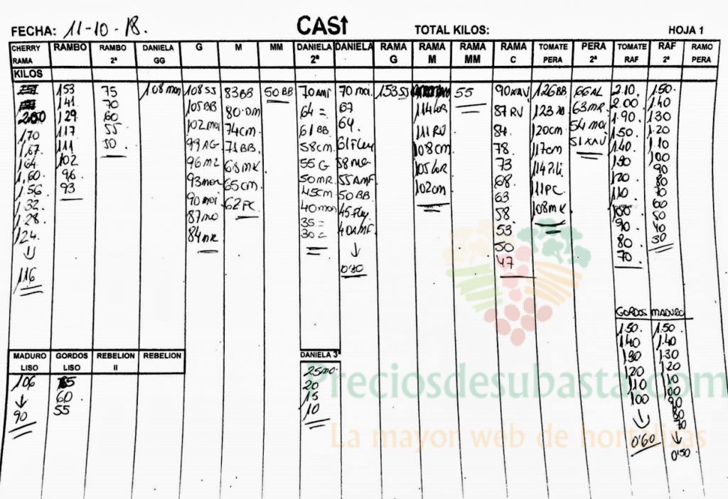 Subasta hortofrutícola CASI 11 de Octubre