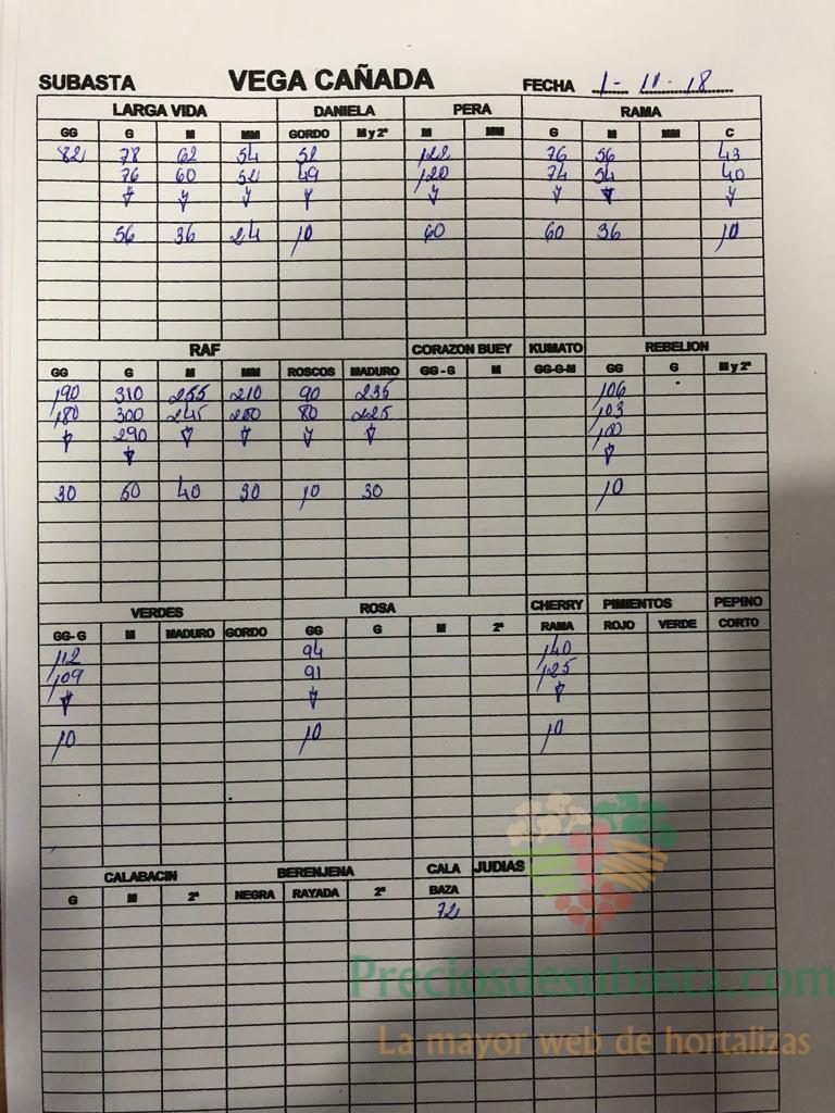 Subasta hortofrutícola VegaCañada 1 de Noviembre