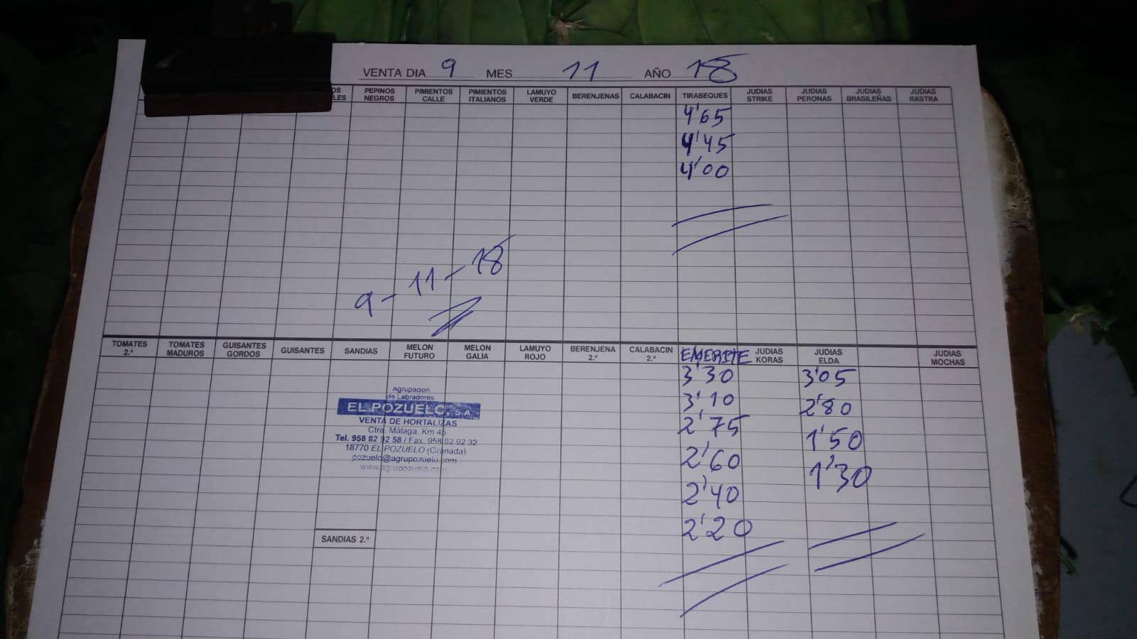 Subasta hortofrutícola El Pozuelo Albuñol 9 de Noviembre