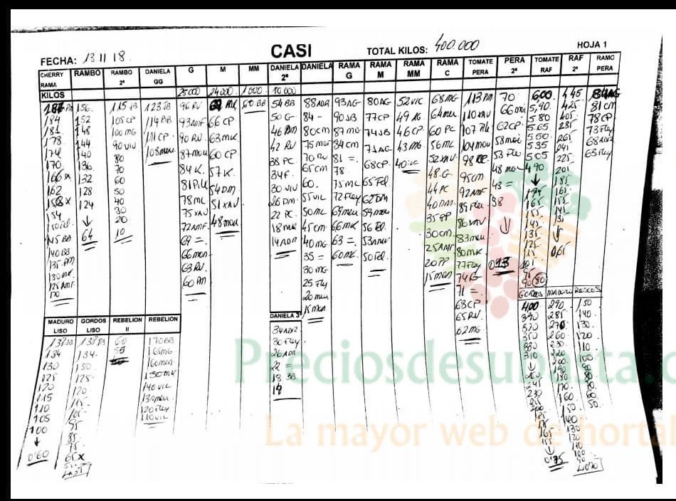 Subasta hortofrutícola CASI 13 de Noviembre