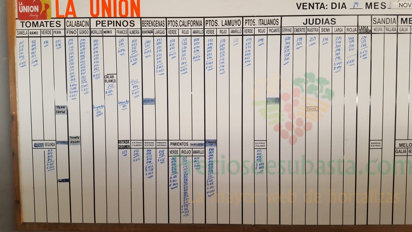 Pizarra La Unión La Redonda 19 de Noviembre