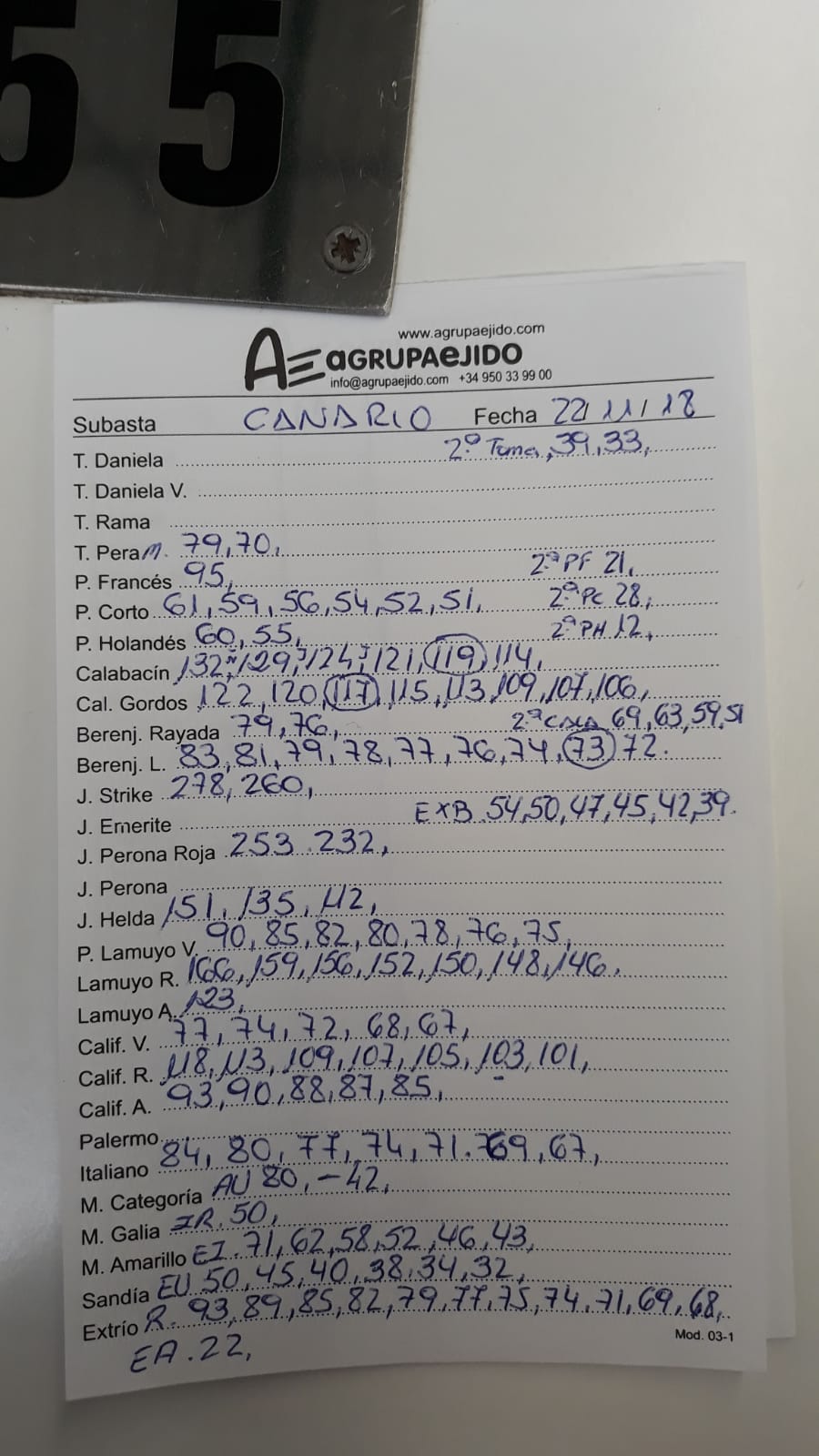 Subasta hortofrutícola AgrupaEjido La Redonda 22 de Noviembre