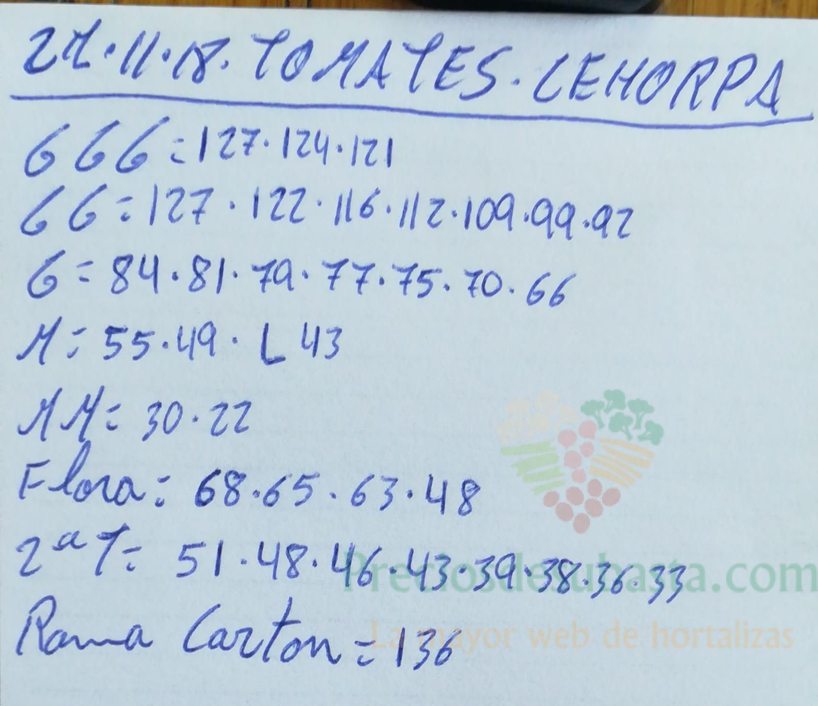 Subasta hortofrutícola Costa de Almería Cehorpa Tomates 27 de Noviembre
