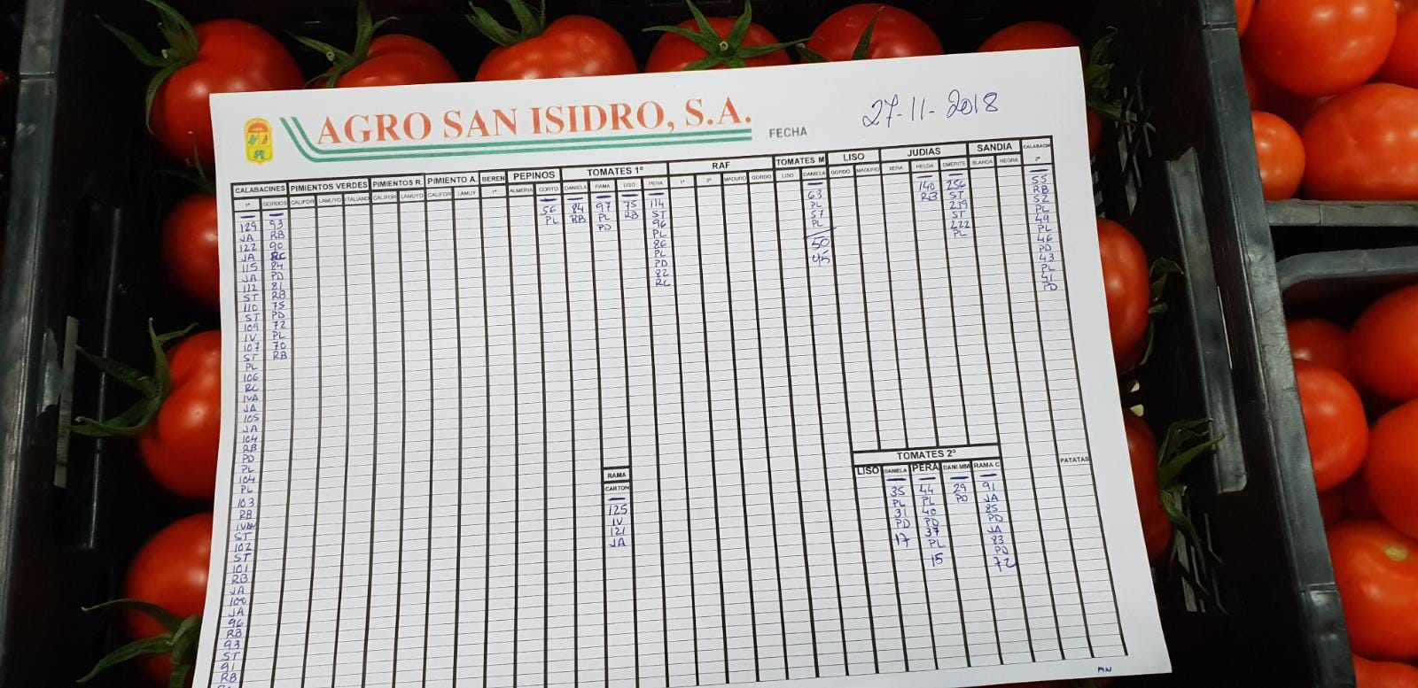 Subasta hortofrutícola Agro San Isidro 27 de Noviembre