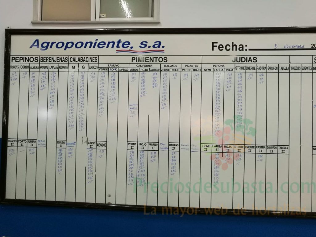 Pizarra Agroponiente La Redonda 5 de Noviembre