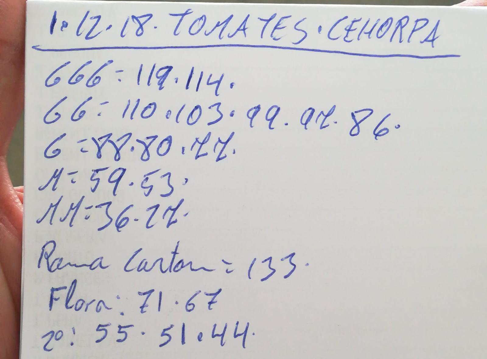 Subasta hortofrutícola Costa de Almería Cehorpa Tomates 1 de Diciembre