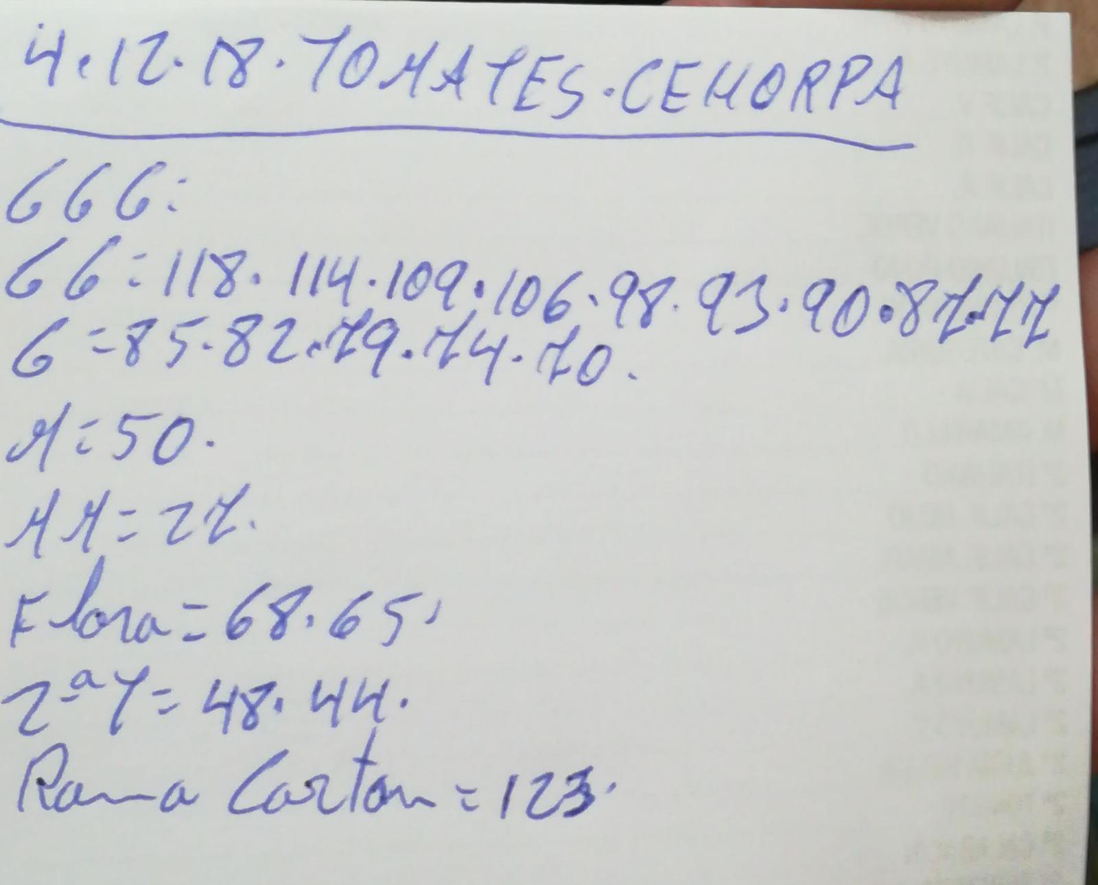 Subasta hortofrutícola Costa de Almería Cehorpa Tomates 4 de Diciembre