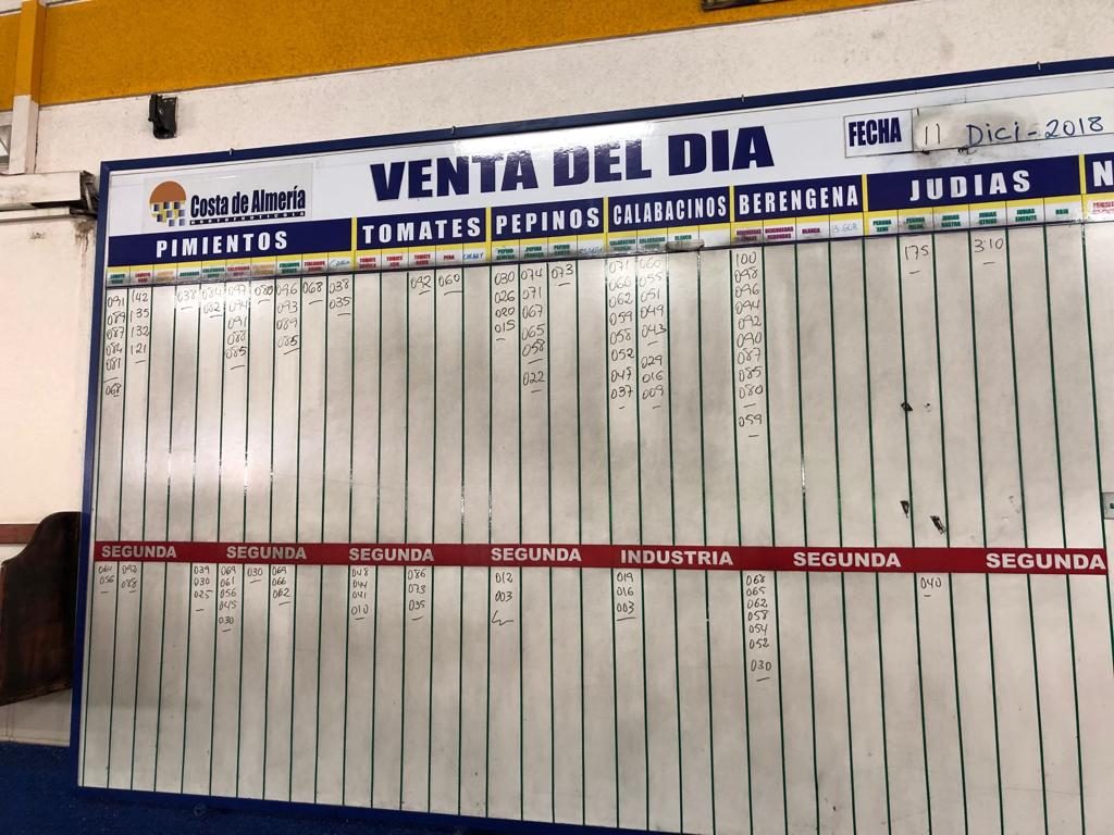 Pizarra Costa de Almería Costa 11 de Diciembre