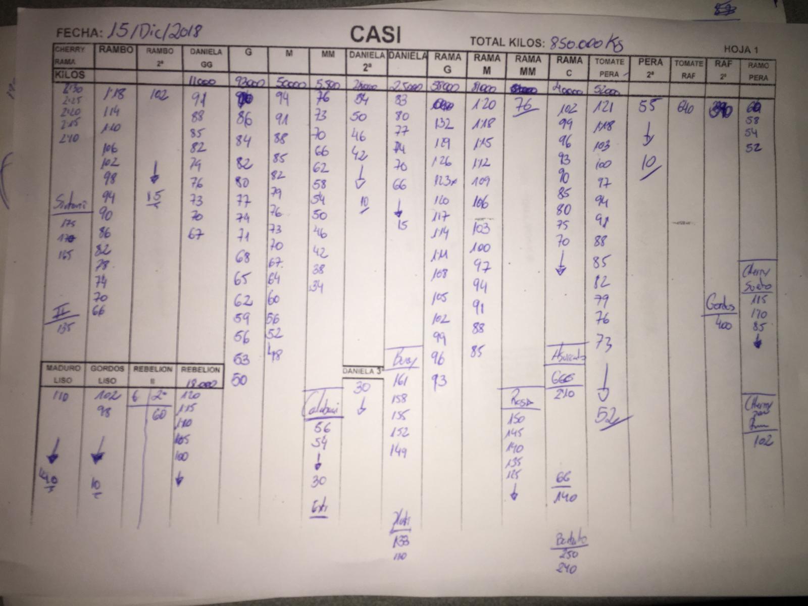 Subasta hortofrutícola CASI 15 de Diciembre