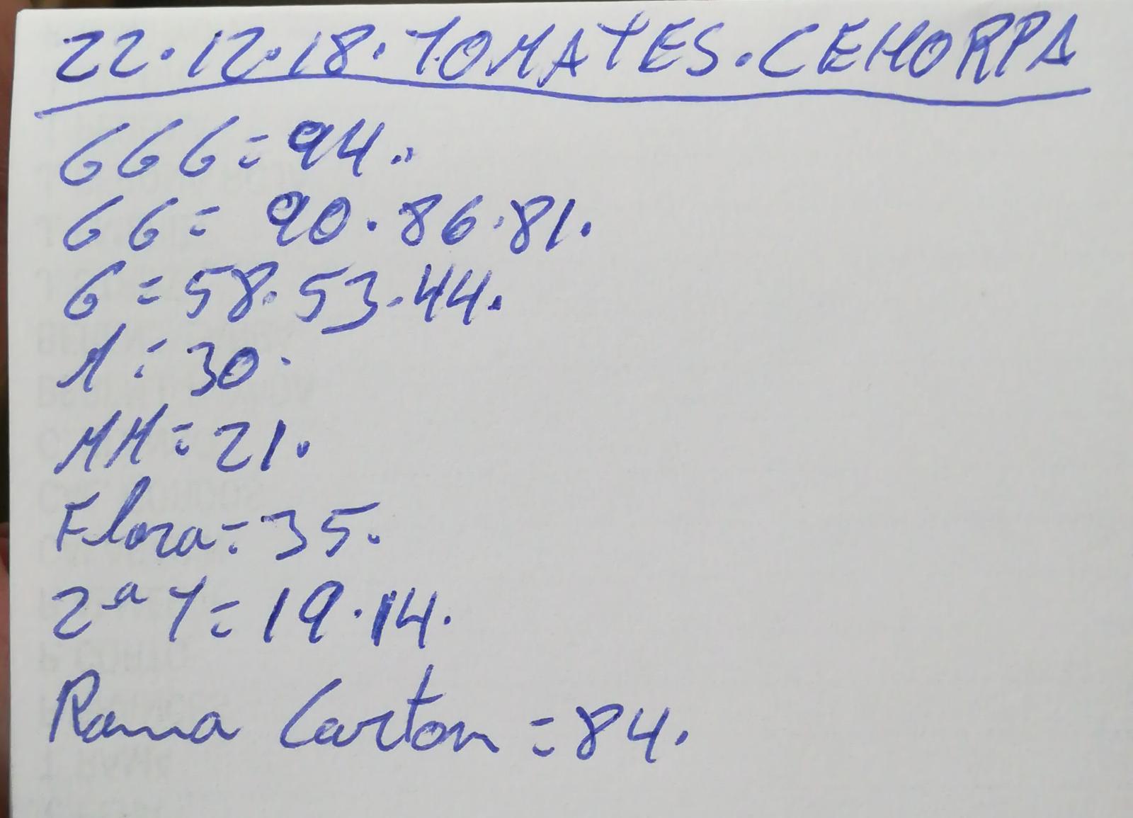 Subasta hortofrutícola Costa de Almería Cehorpa Tomates 22 de Diciembre