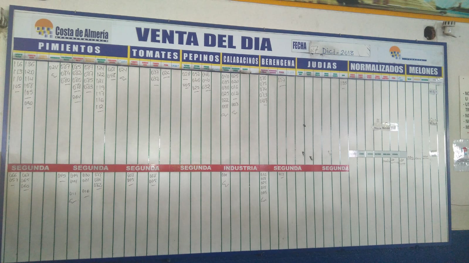 Pizarra Costa de Almería Costa 27 de Diciembre