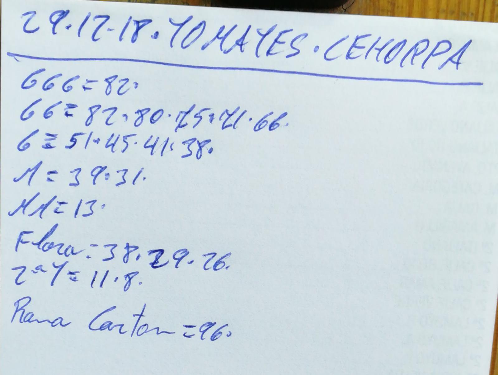 Subasta hortofrutícola Costa de Almería Cehorpa Tomates 29 de Diciembre