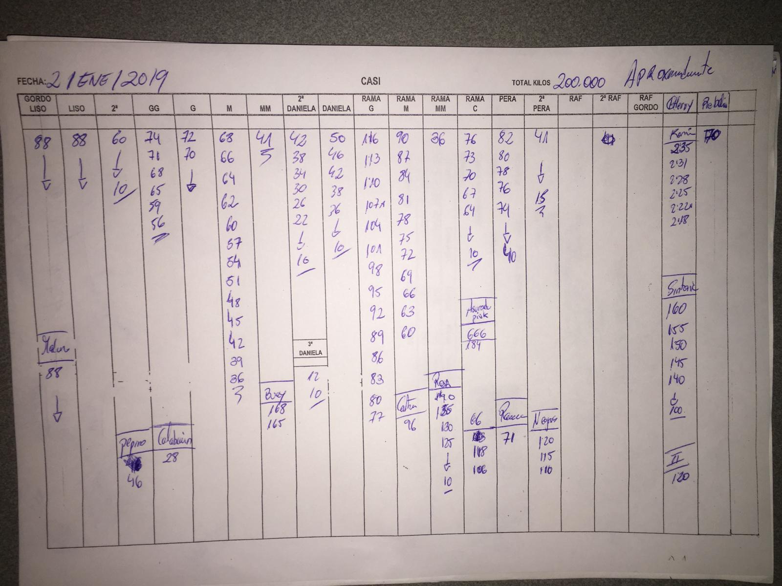 Subasta hortofrutícola CASI 2 de Enero 2019