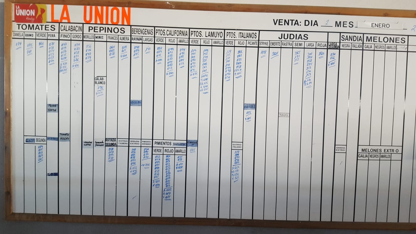 Pizarra La Unión La Redonda 2 de Enero 2019