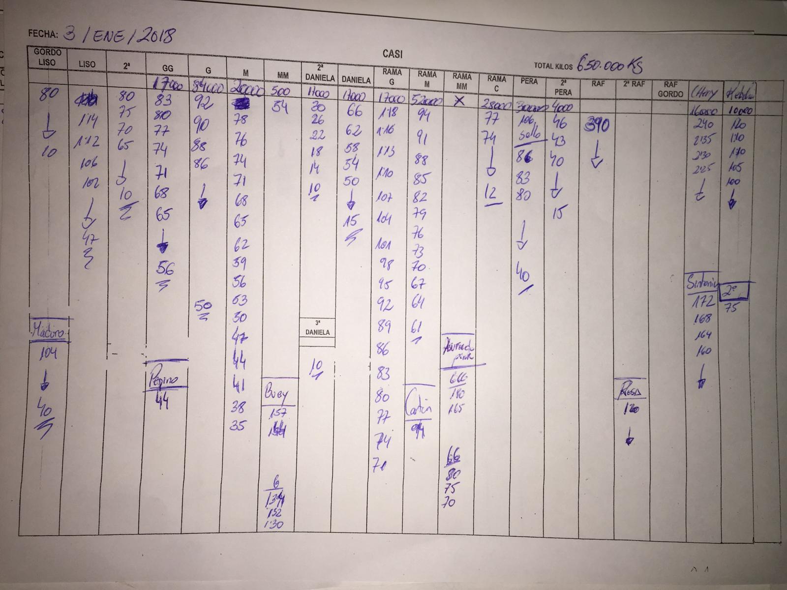 Subasta hortofrutícola CASI 3 de Enero 2019