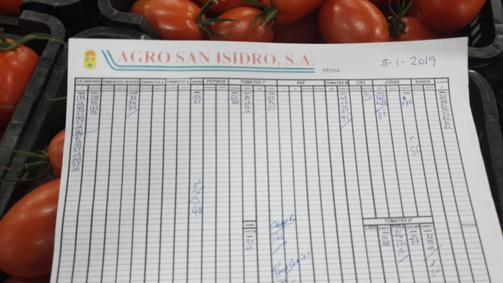 Subasta hortofrutícola Agro San Isidro 5 de Enero 2019