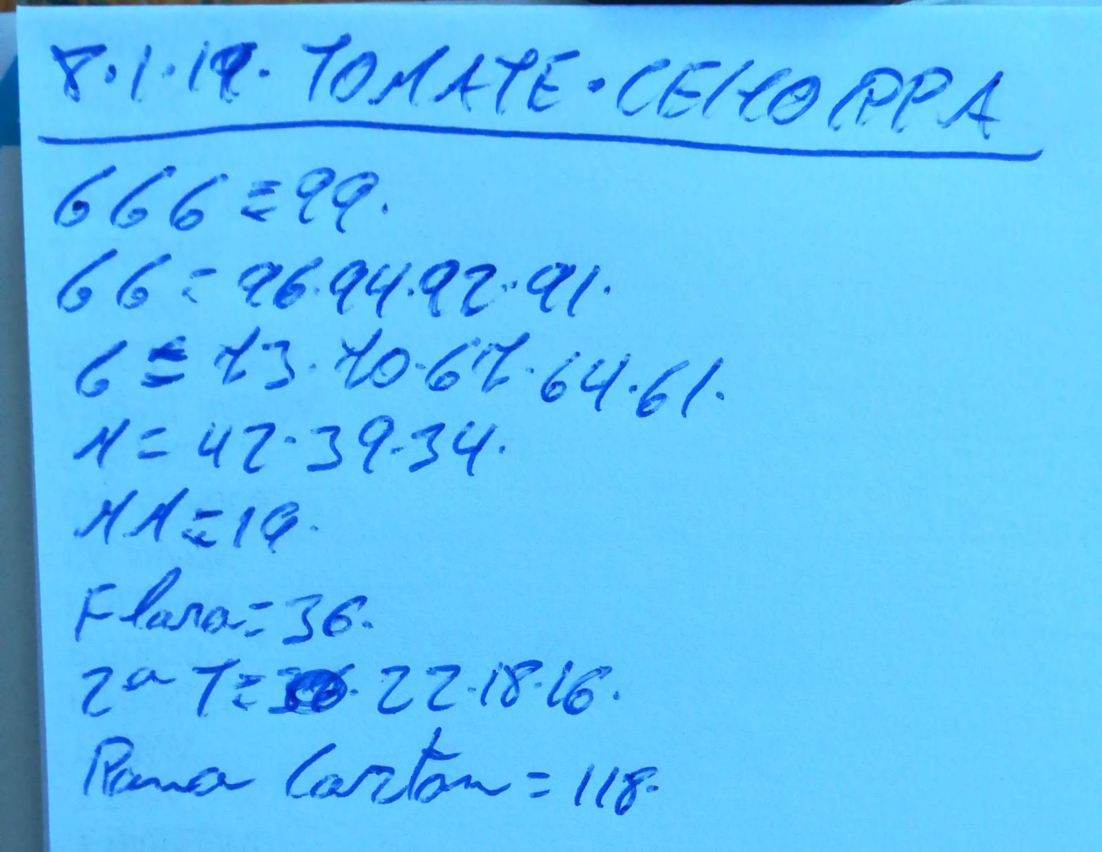 Subasta hortofrutícola Costa de Almería Cehorpa Tomates 8 de Enero 2019