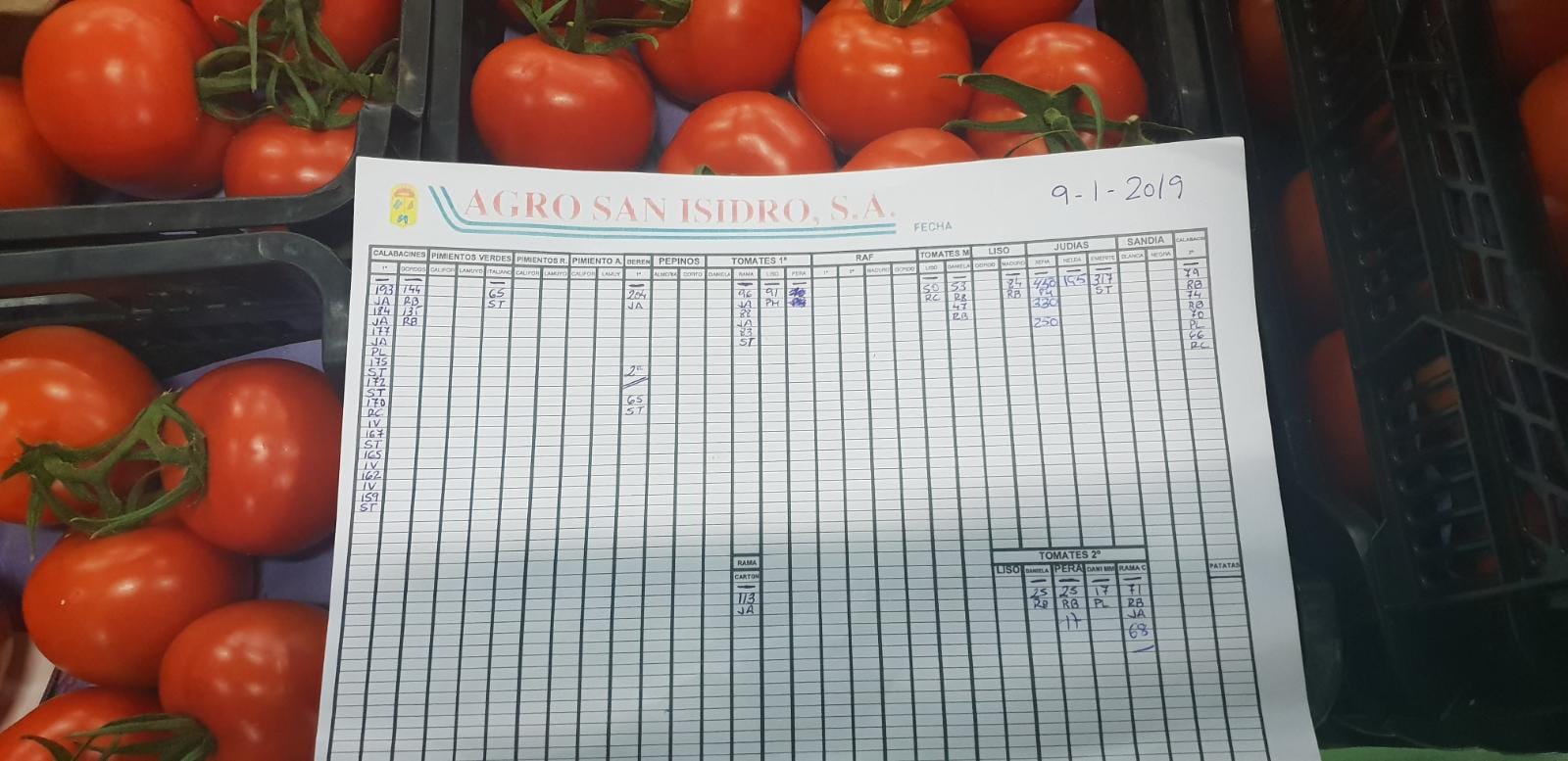Subasta hortofrutícola Agro San Isidro 9 de Enero 2019