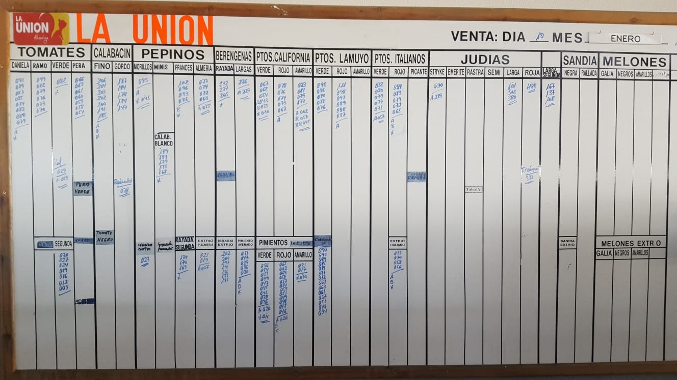 Pizarra La Unión La Redonda 10 de Enero 2019