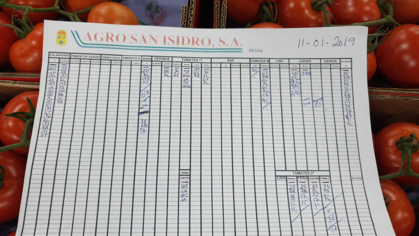 Subasta hortofrutícola Agro San Isidro 11 de Enero 2019