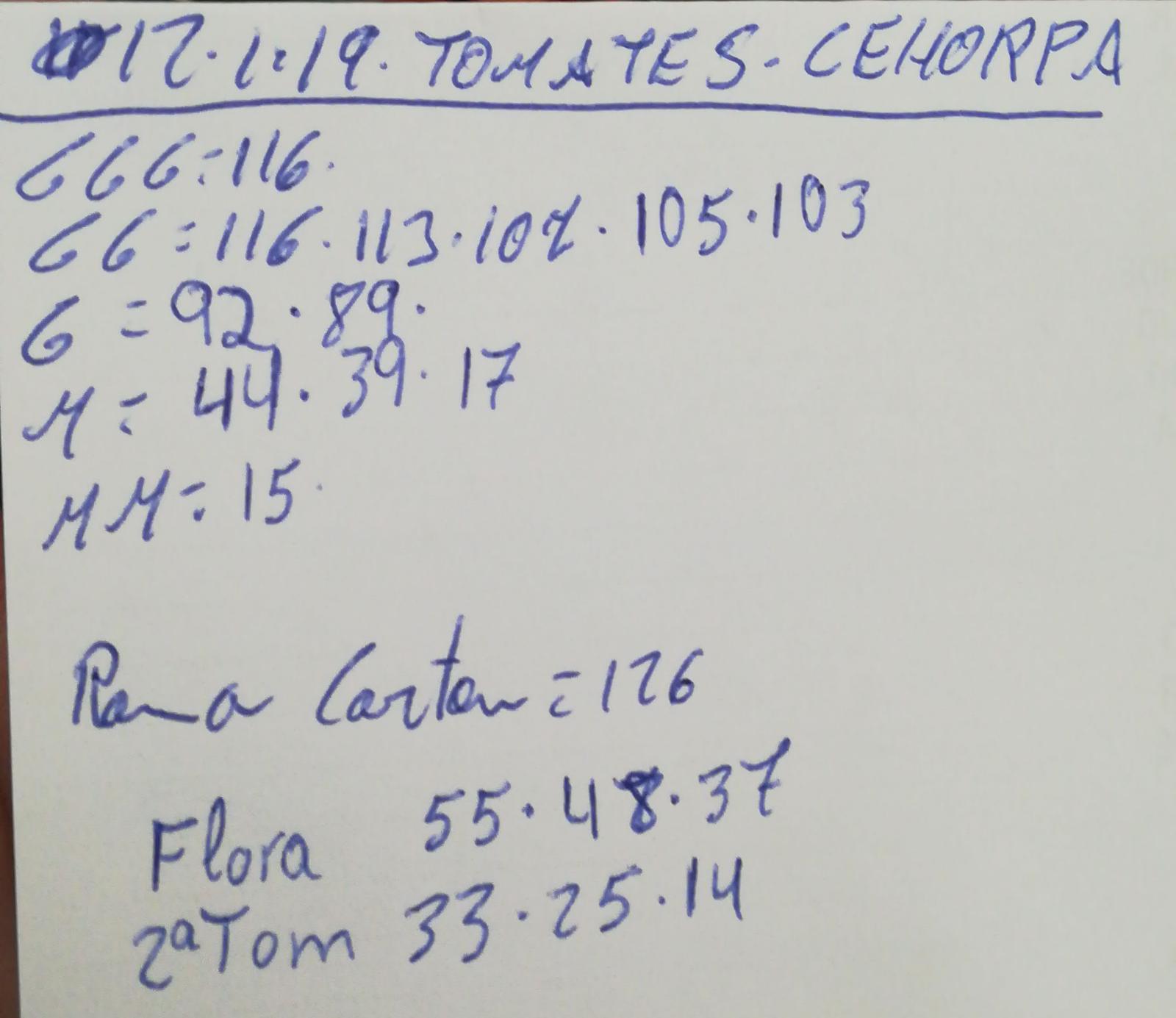 Subasta hortofrutícola Costa de Almería Cehorpa Tomates 12 de Enero 2019