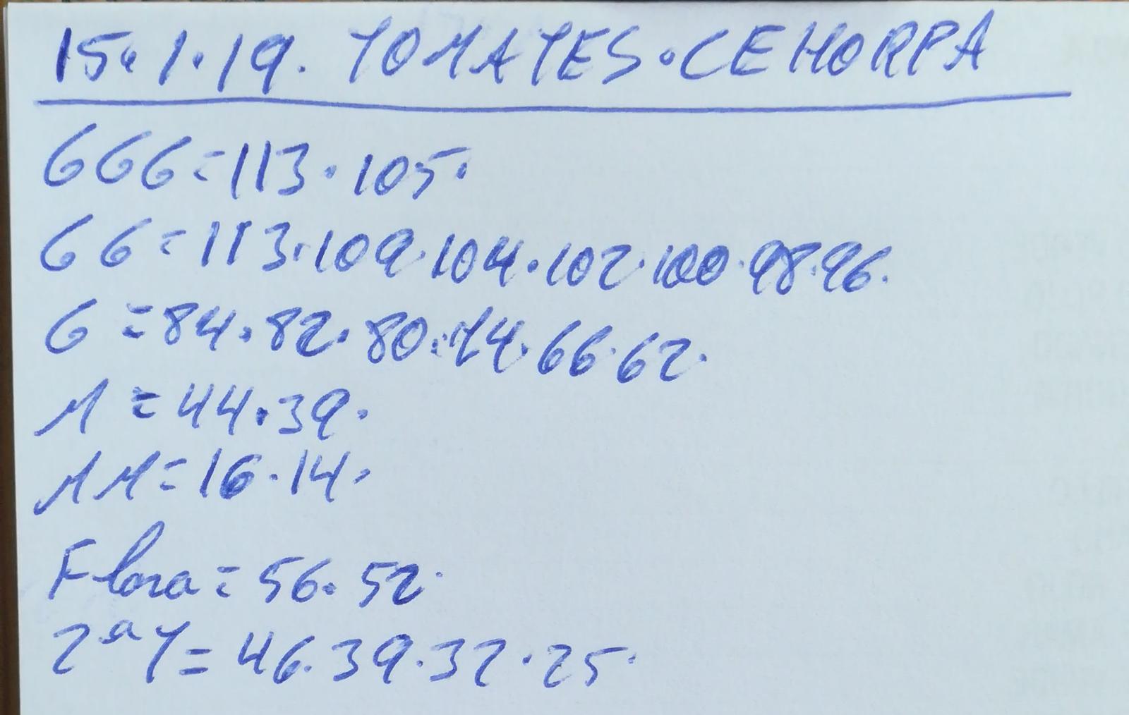 Subasta hortofrutícola Costa de Almería Cehorpa Tomates 15 de Enero 2019