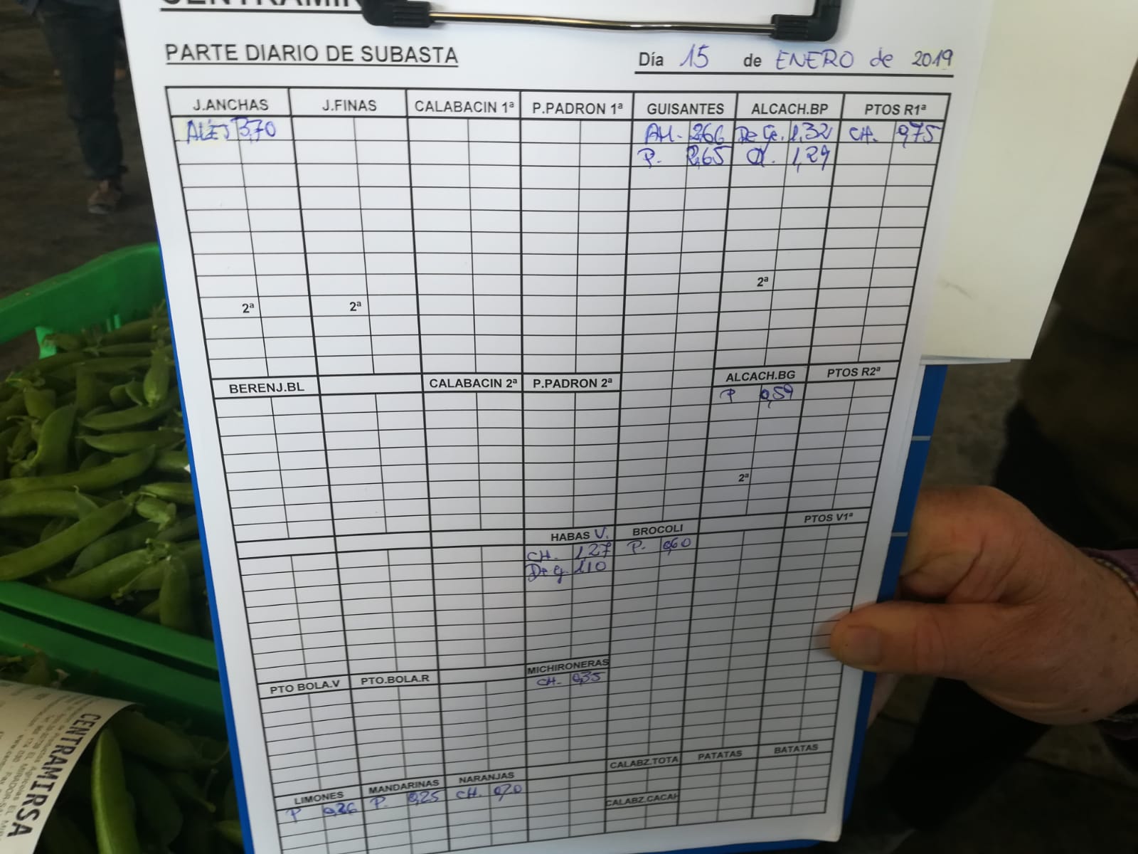 Subasta hortofrutícola Centramirsa 15 de Enero 2019