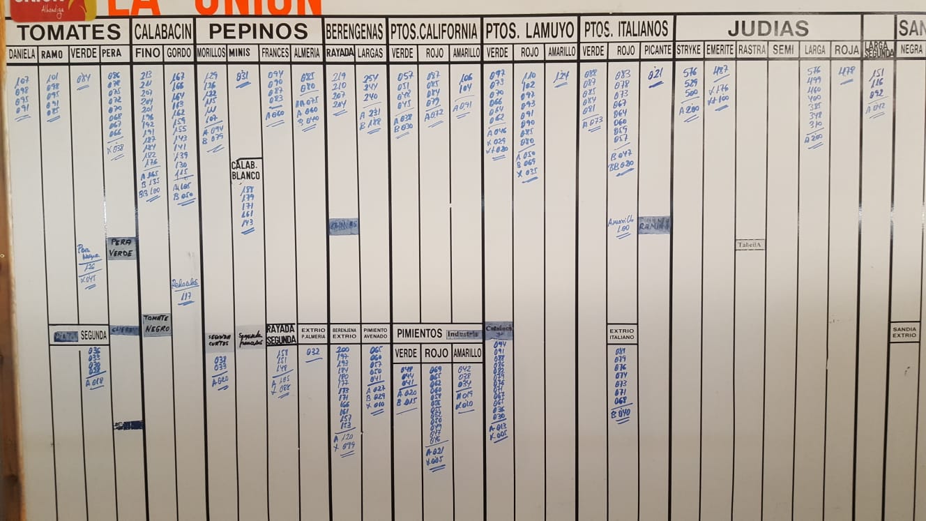 Pizarra La Unión La Redonda 16 de Enero 2019