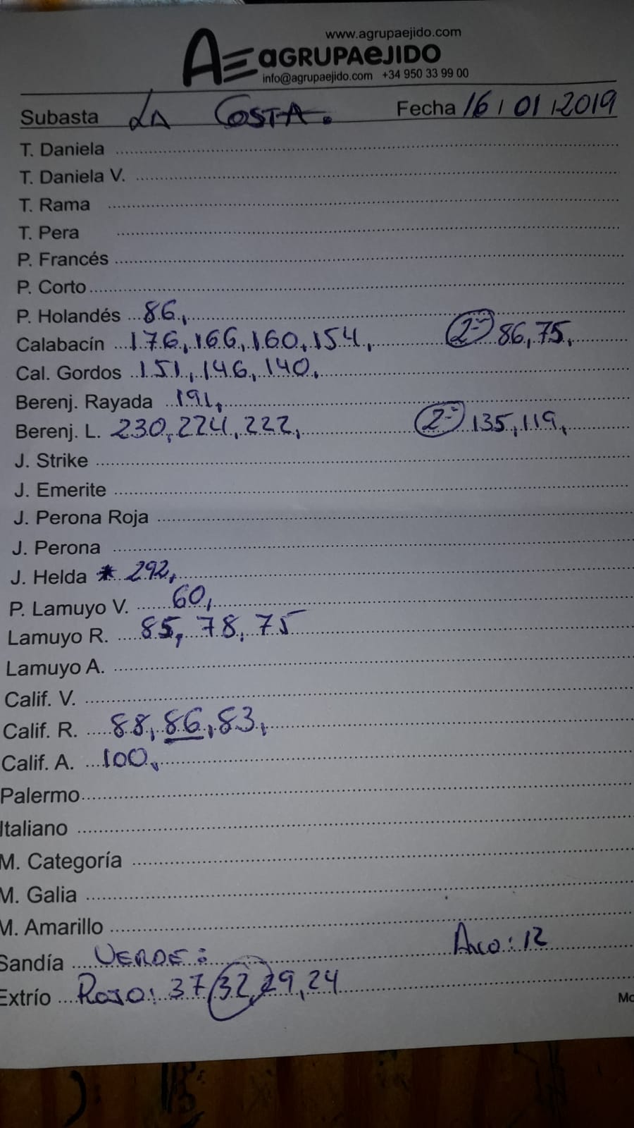 Subasta hortofrutícola AgrupaEjido La Costa 16 de Enero 2019