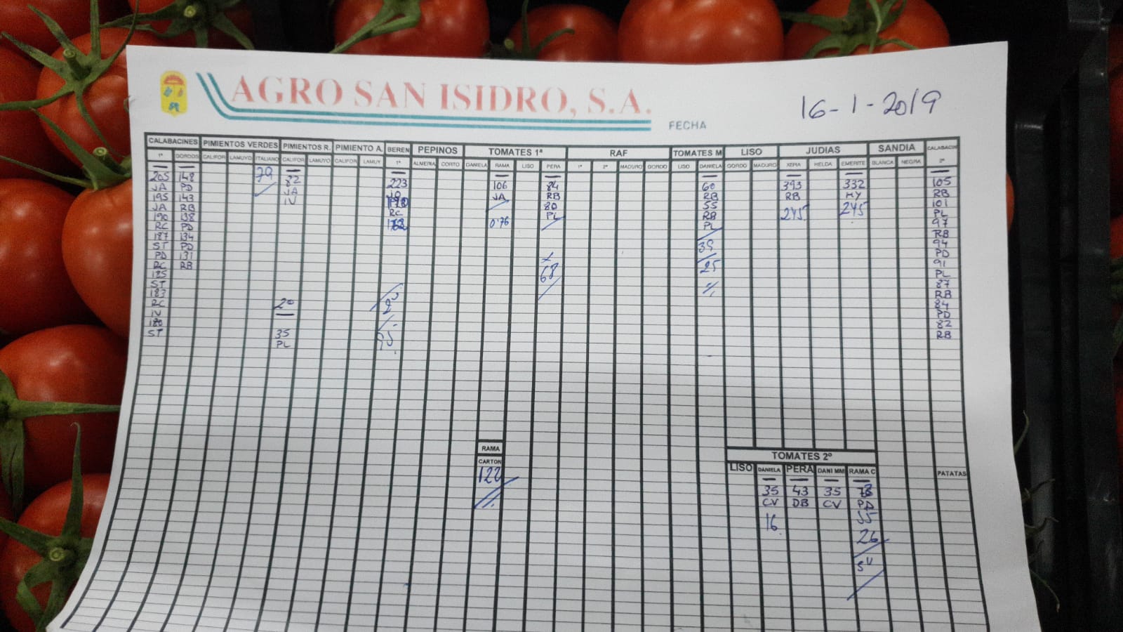 Subasta hortofrutícola Agro San Isidro 16 de Enero 2019