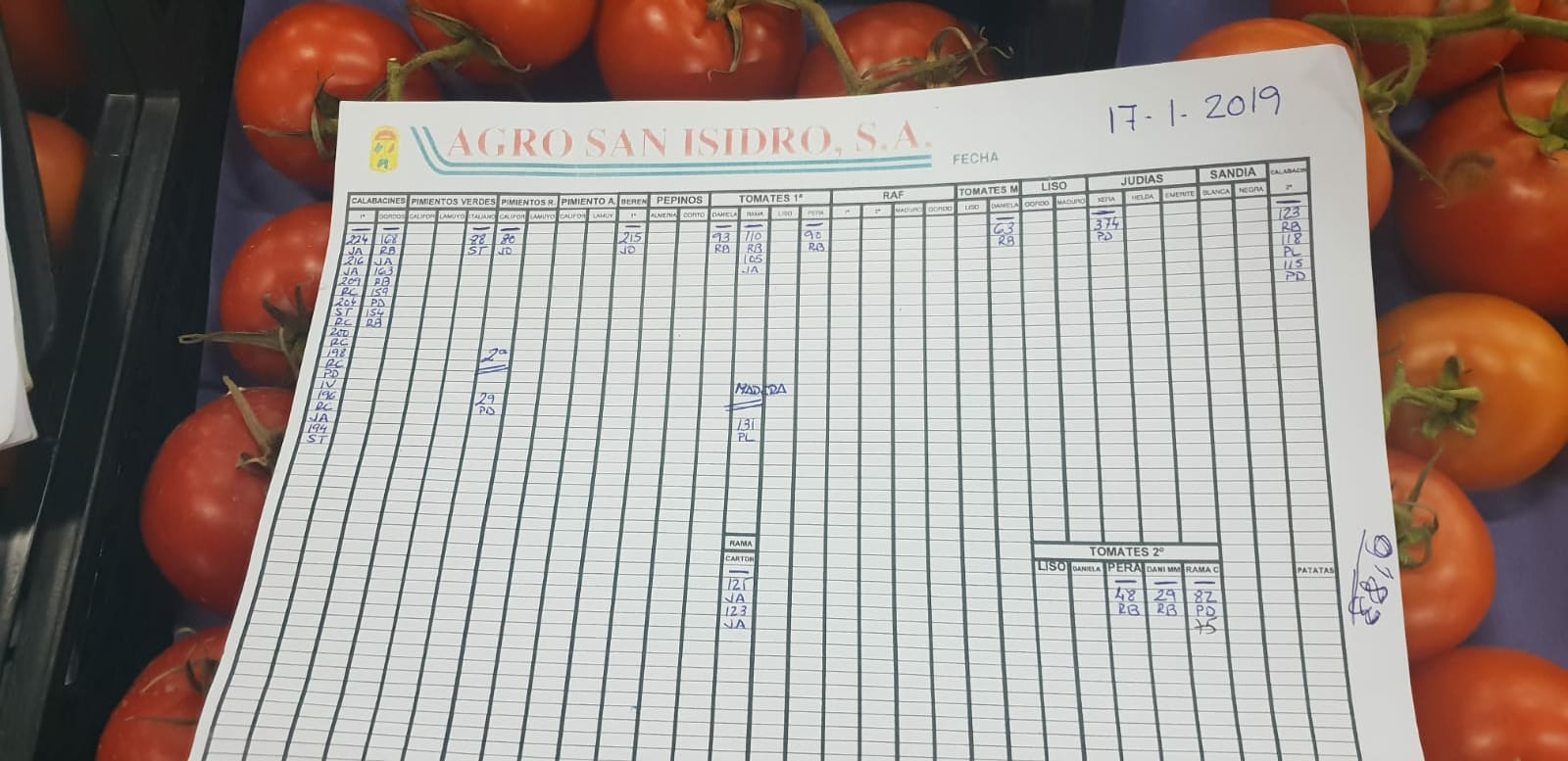 Subasta hortofrutícola Agro San Isidro 17 de Enero 2019