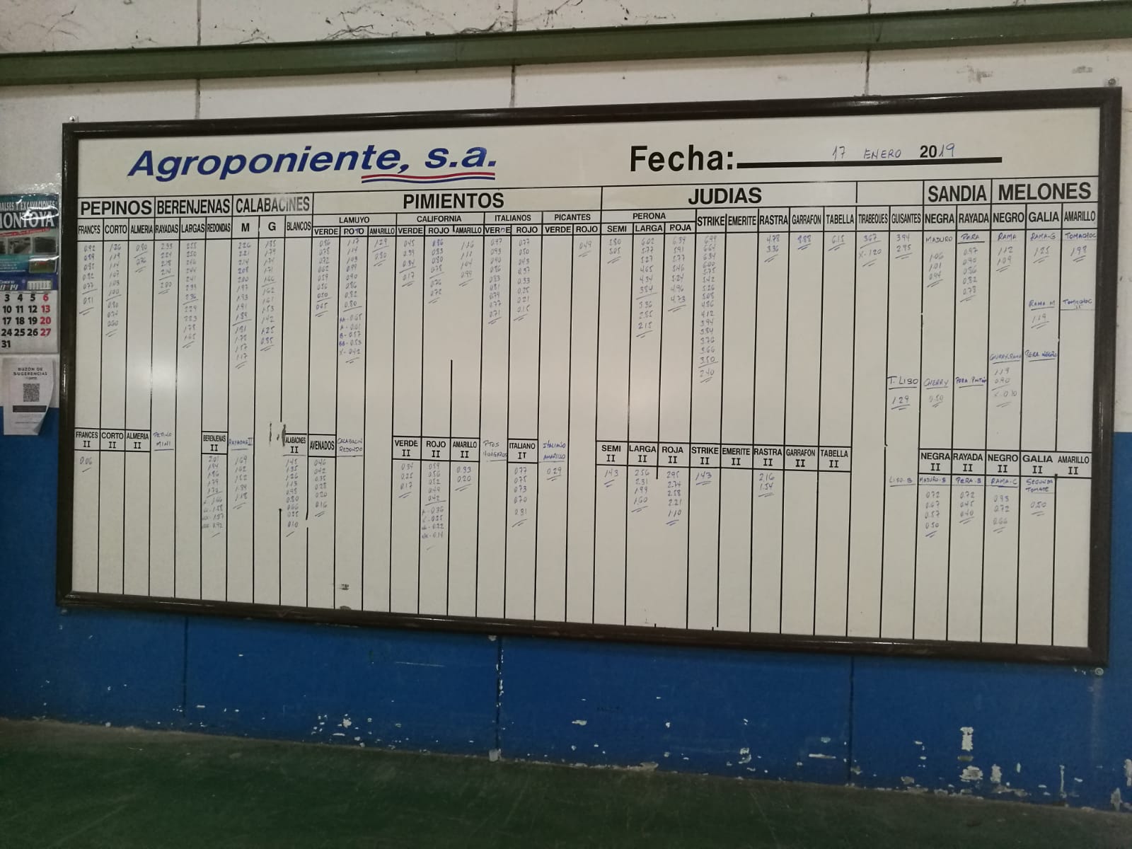 Pizarra Agroponiente La Redonda 17 de Enero 2019