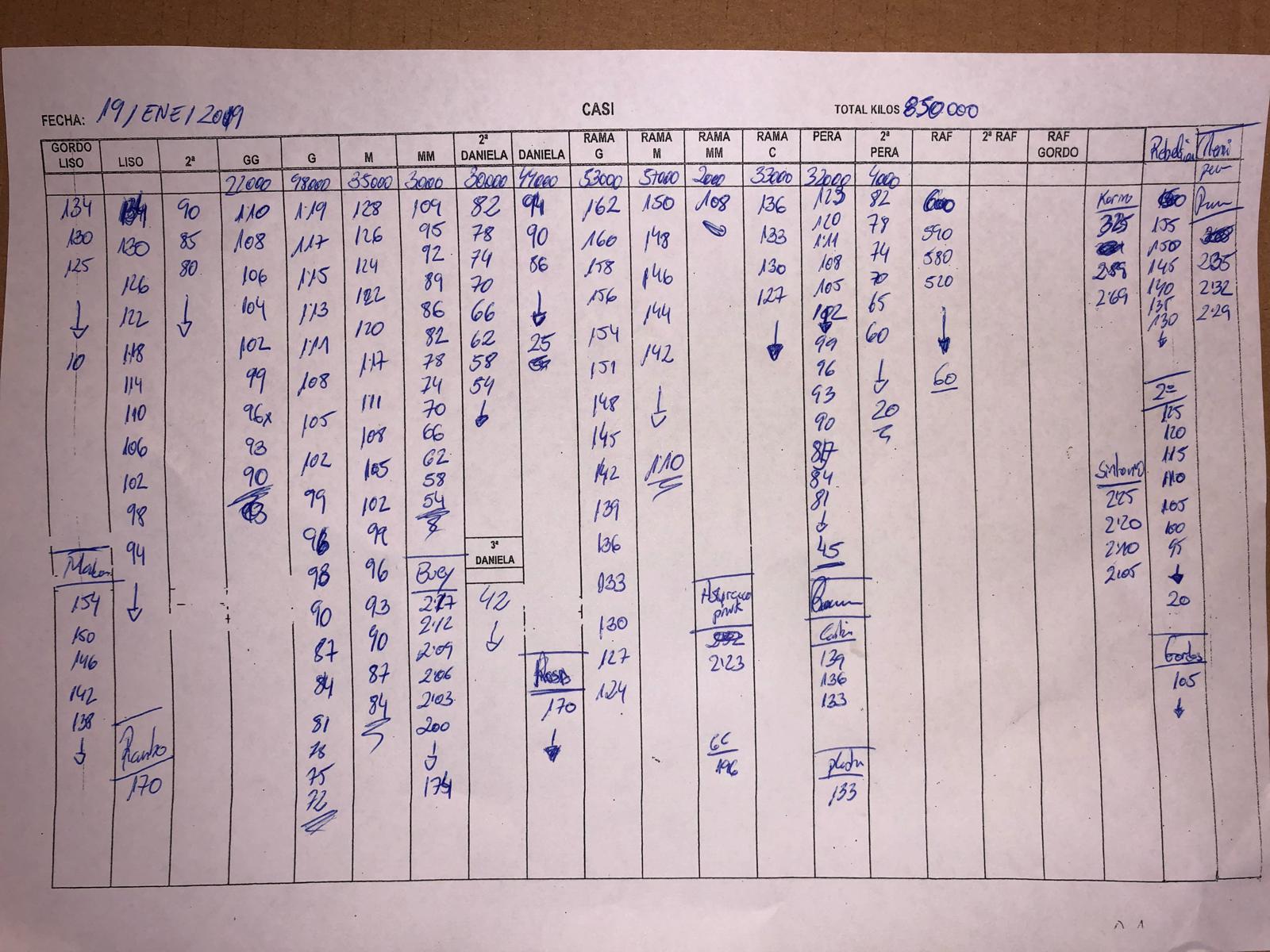 Subasta hortofrutícola CASI 19 de Enero 2019