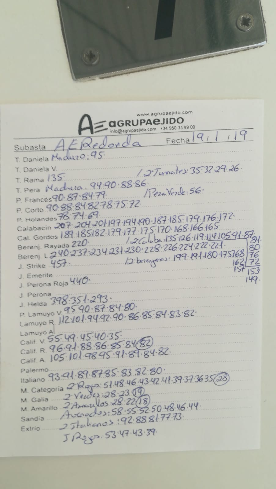 Subasta hortofrutícola AgrupaEjido La Redonda 19 de Enero 2019
