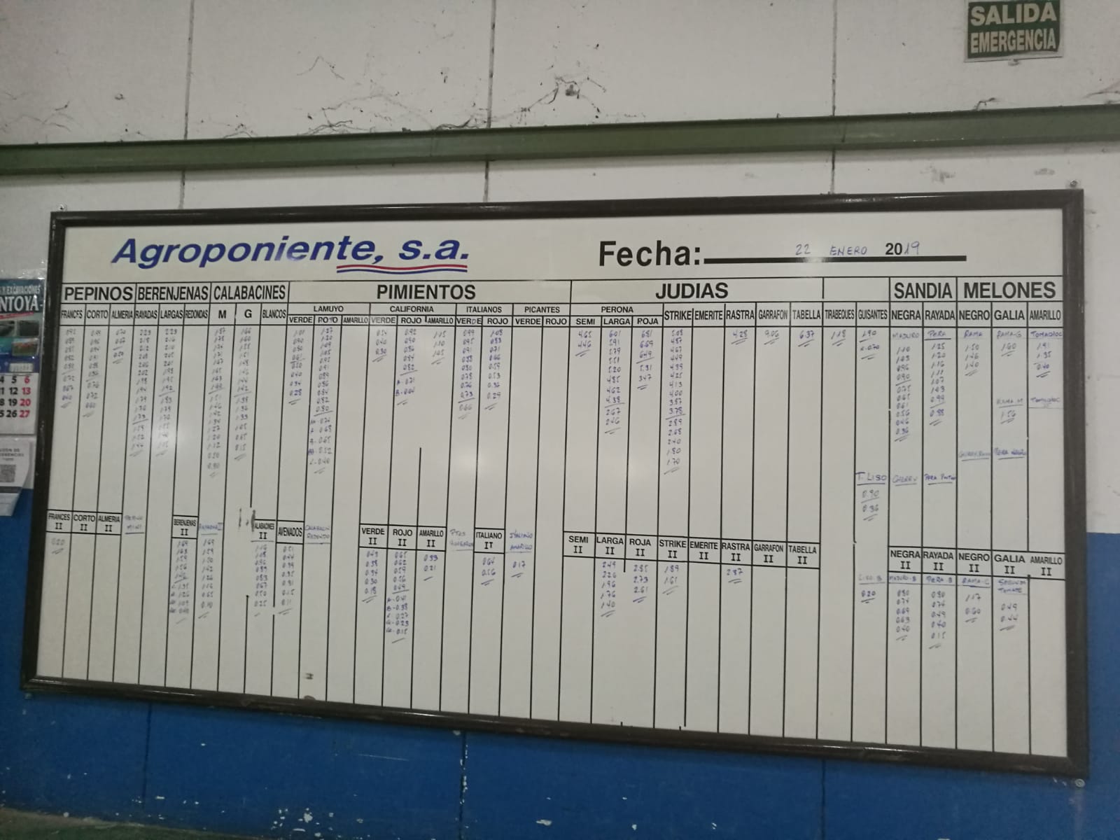 Pizarra Agroponiente La Redonda 22 de Enero 2019