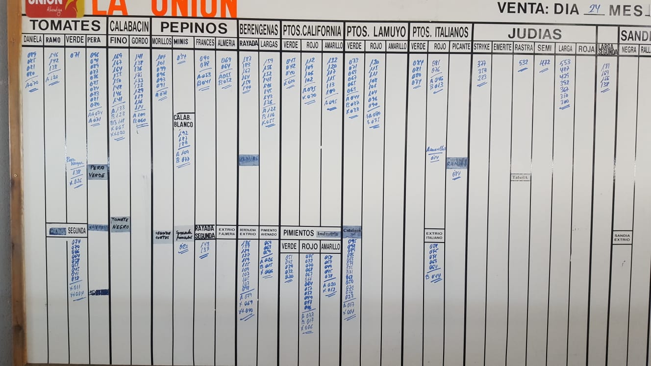 Pizarra La Unión La Redonda 24 de Enero 2019