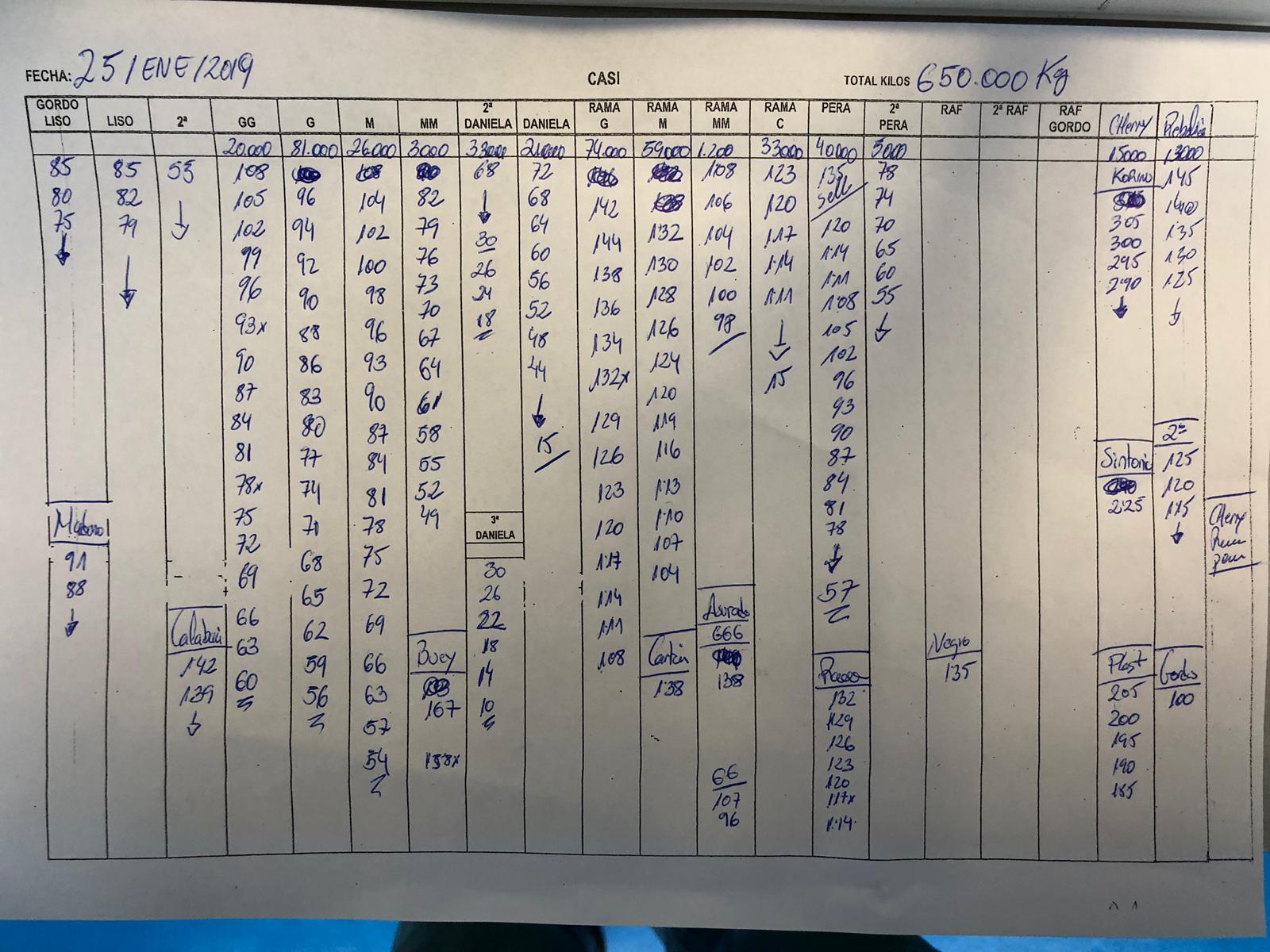 Subasta hortofrutícola CASI 25 de Enero 2019