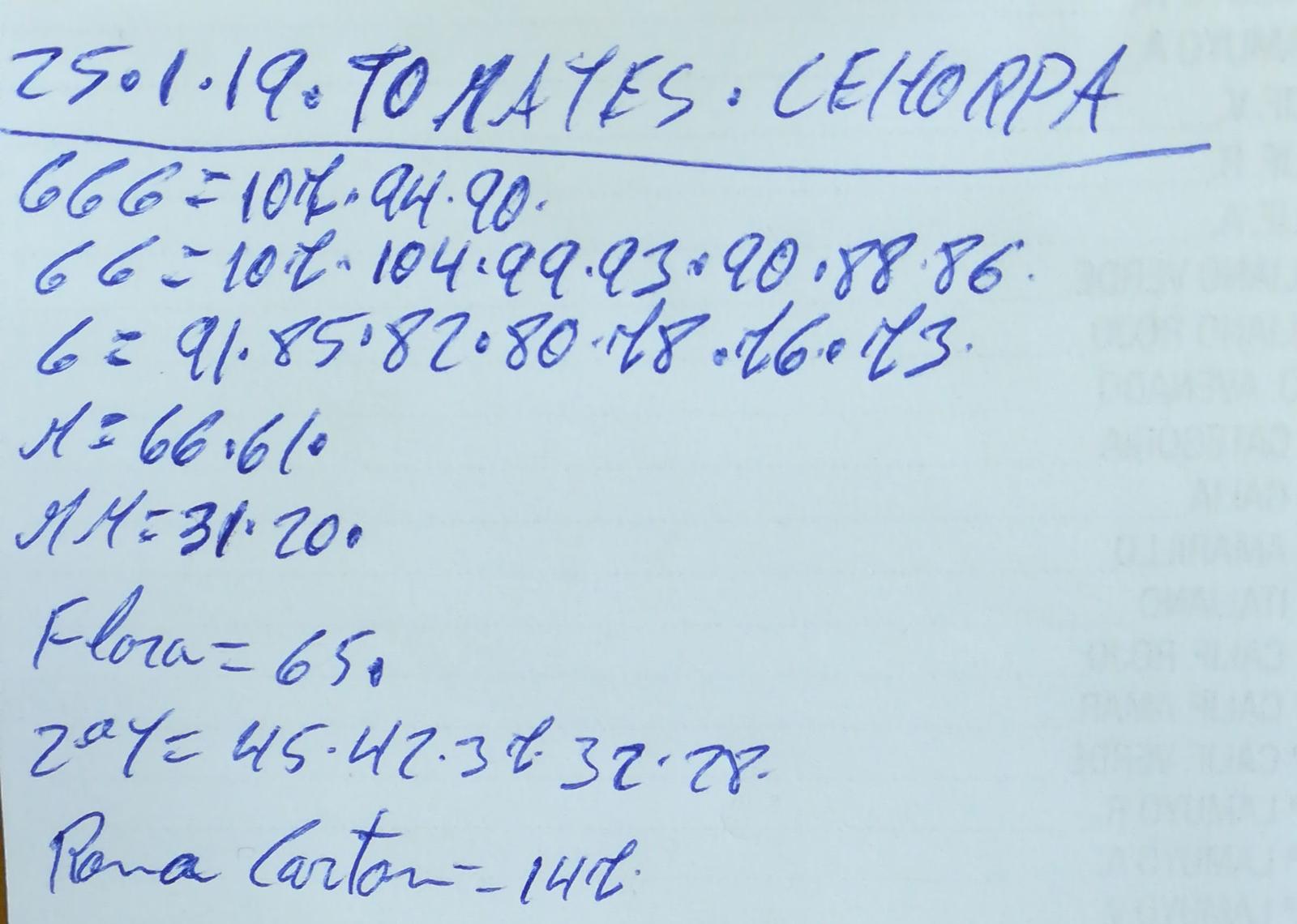 Subasta hortofrutícola Costa de Almería Cehorpa Tomates 25 de Enero 2019