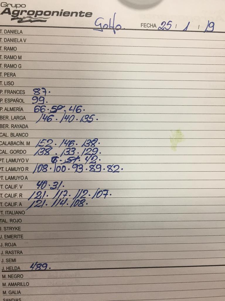 Subasta hortofrutícola Agroponiente El Golfo 25 de Enero 2019