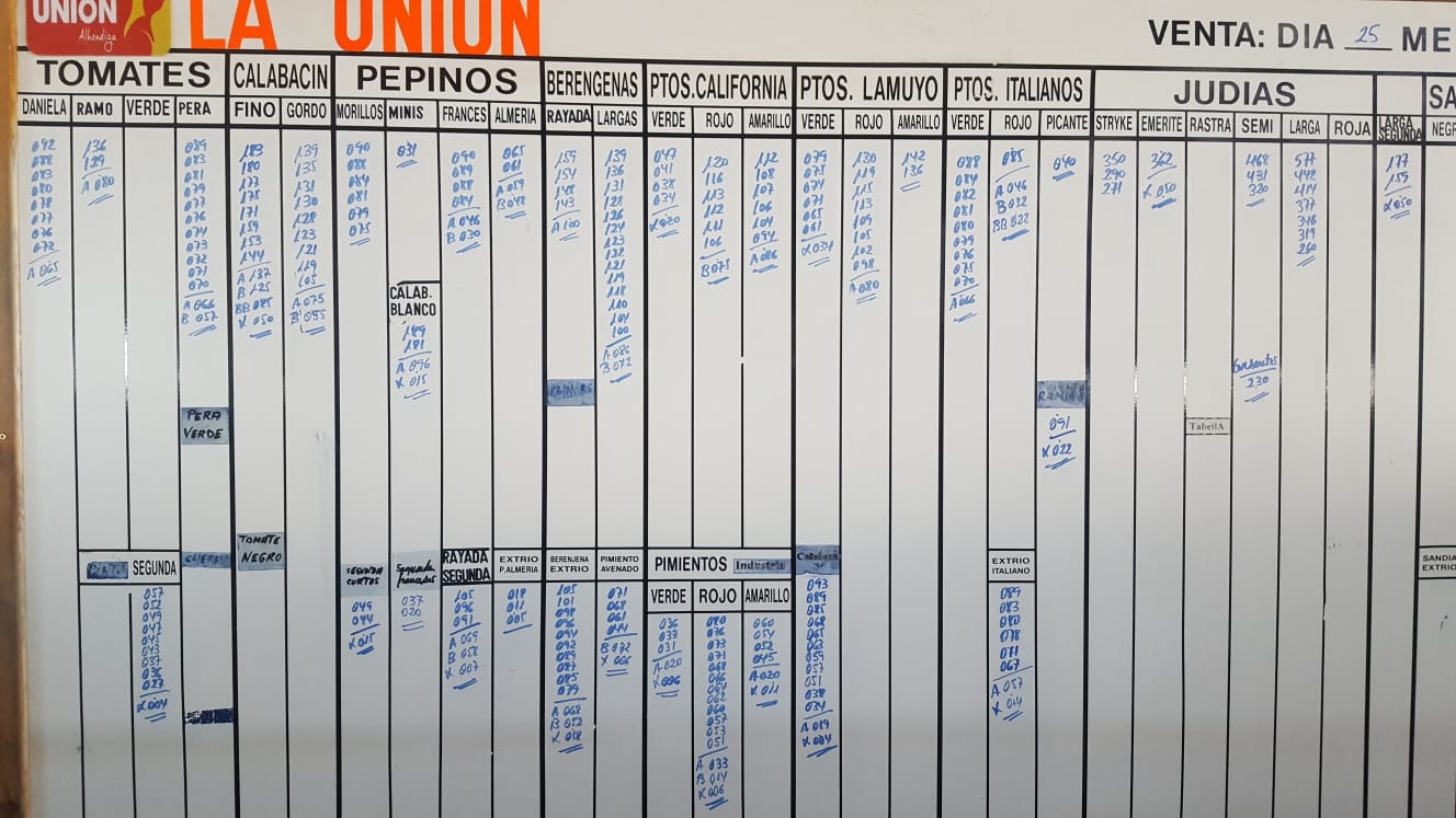 Pizarra La Unión La Redonda 25 de Enero 2019