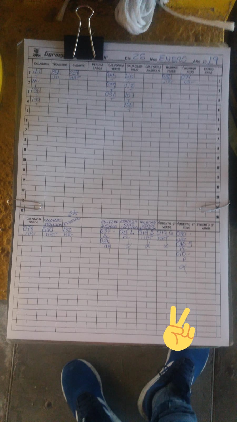 Subasta hortofrutícola AgroEjido Berja 26 de Enero 2019