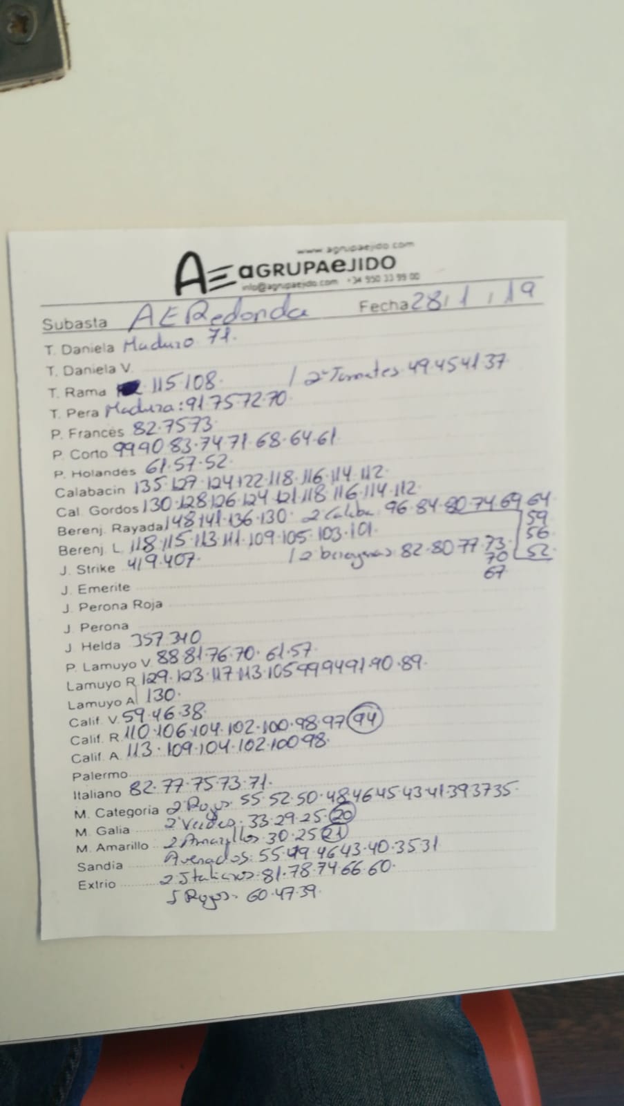 Subasta hortofrutícola AgrupaEjido La Redonda 28 de Enero 2019