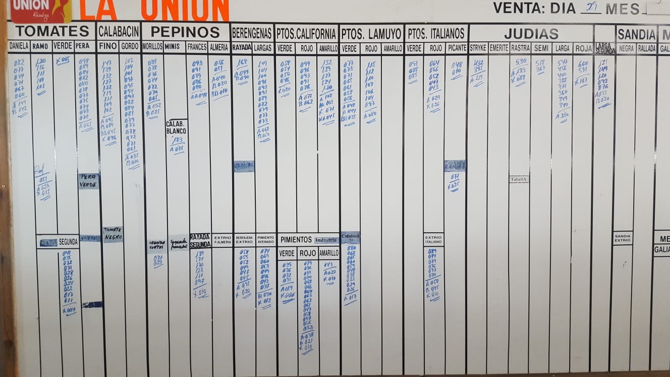 Pizarra La Unión La Redonda 29 de Enero 2019